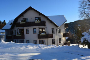 Hoffmann's Apartment in der Residenz Bocksbergblick